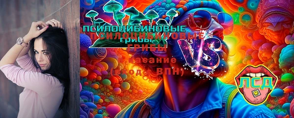 спиды Наволоки