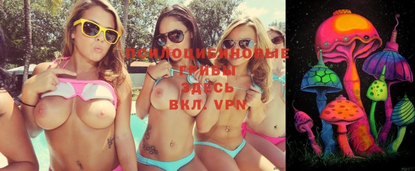 спиды Наволоки