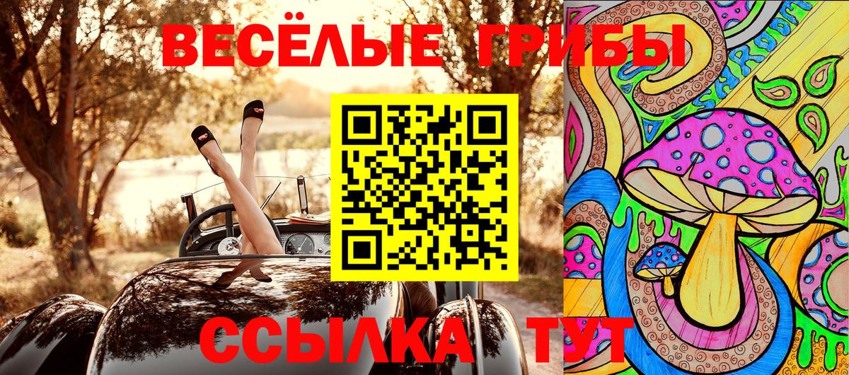 Галлюциногенные грибы GOLDEN TEACHER Котлас