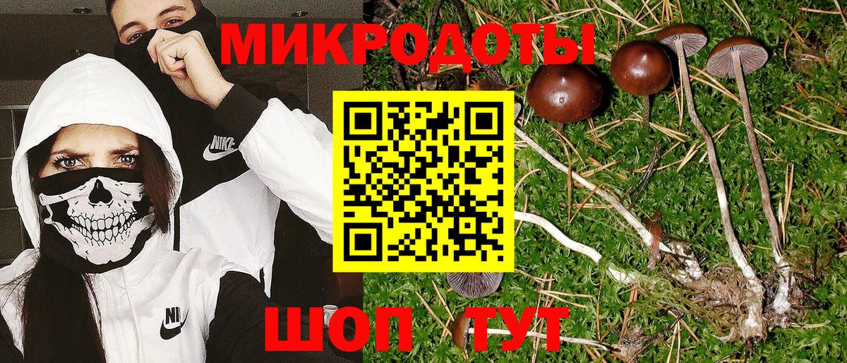 Галлюциногенные грибы GOLDEN TEACHER Котлас