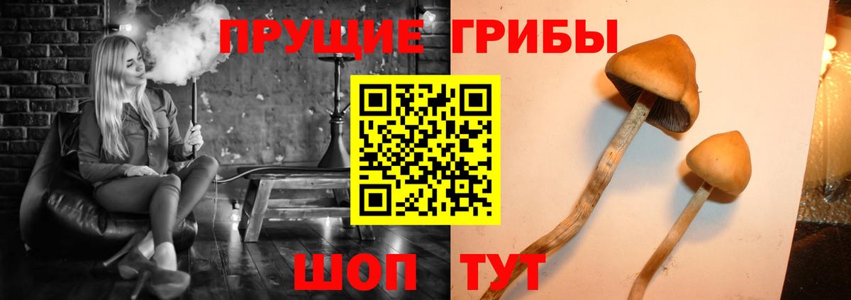 Псилоцибиновые грибы прущие грибы  Псилоцибиновые грибы ЛСД  Вход с VPN  Котлас 